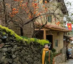 Lolo Chai: Uncover the Rustic Beauty of an Ancient Village & Its 'World's Most Enduring' Persimmon Tree, a Tourist Magnet-9