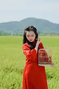 Discover the Serene Beauty: Vietnamese Girl in Red Ao Dai Amidst Green Rice Fields-13