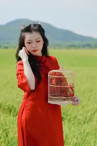 Discover the Serene Beauty: Vietnamese Girl in Red Ao Dai Amidst Green Rice Fields-14