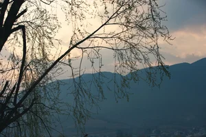 Timeless Elegance of Yi Ming in Art Language Vol.8869 - A Poetic Riverside Muse-25