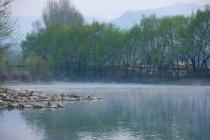 Timeless Elegance of Yi Ming in Art Language Vol.8869 - A Poetic Riverside Muse-9