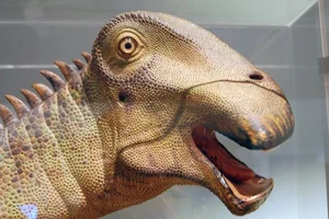 Discover Nigersaurus: The Prehistoric Lawnmower Dinosaur with a Unique Dental Battery and Fascinating Anatomy-5