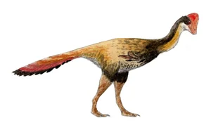 Exploring Nomingias Unique Tail Structure - A Masterpiece of Evolution from Mongolia-4