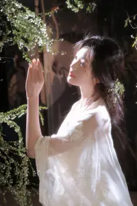 Jia Yi Vol.8827: Ethereal Beauty in YiTuYu Art Collection-4