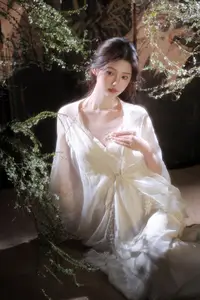 Jia Yi Vol.8827: Ethereal Beauty in YiTuYu Art Collection-0