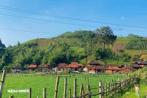 Huu Lien: A Pristine Escape Amidst the Lush Green Mountains of Lang Son-3