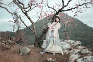Spring Muse in Hanfu YiTuYu Art Language Vol.8879 Da Wai Wai Ge-17