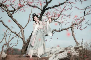 Spring Muse in Hanfu YiTuYu Art Language Vol.8879 Da Wai Wai Ge-13