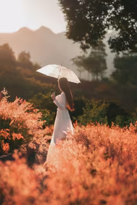 Moc Chau Pink Grass Hill: Autumn's Dreamy Escape for Muses & Perfect Photo Ops-2