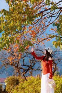 Sapa's Golden Empress Persimmon Tree: A Winter Wonderland for Tourists to Check-in-2