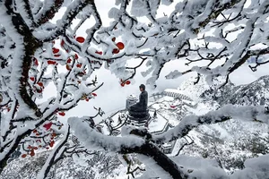 Breathtaking Frost in Vietnam: A Winter Wonderland Reminiscent of Europe-8