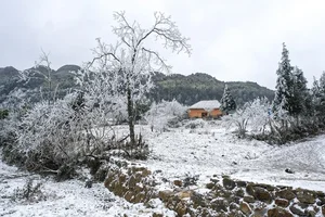 Breathtaking Frost in Vietnam: A Winter Wonderland Reminiscent of Europe-1