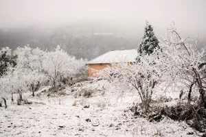 Breathtaking Frost in Vietnam: A Winter Wonderland Reminiscent of Europe-5