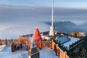 Breathtaking Frost in Vietnam: A Winter Wonderland Reminiscent of Europe-3