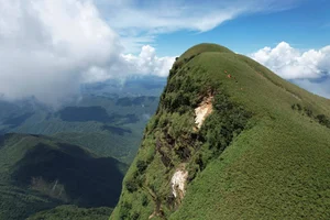 Conquering Pa Thien - Voi Mep: A Breathtaking Trekking Adventure Through Vietnam's Sea of Clouds and Ancient Forests-6