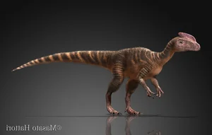 Meet Guanlong: The Bizarre Crested Ancestor of the Tyrannosaurus Rex and the Fascinating Evolution of Prehistoric Predators-4