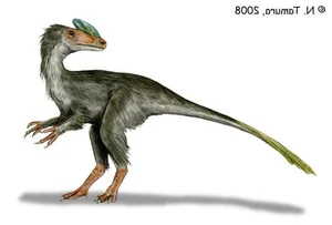 Meet Guanlong: The Bizarre Crested Ancestor of the Tyrannosaurus Rex and the Fascinating Evolution of Prehistoric Predators-2
