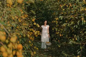 Explore Huu Lien: Adventure Tourism and Rock Climbing in Lang Son's Majestic Landscape.-6