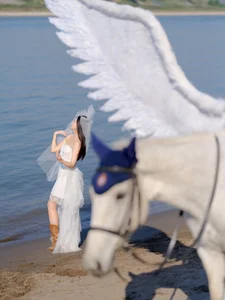 Ethereal Pegasus Muse by the Sea - YiTuYu Art Language Vol.8882-4