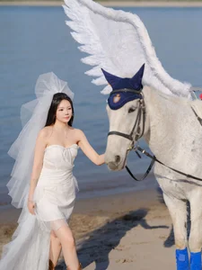 Ethereal Pegasus Muse by the Sea - YiTuYu Art Language Vol.8882-14