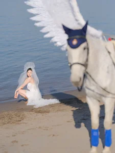 Ethereal Pegasus Muse by the Sea - YiTuYu Art Language Vol.8882-1