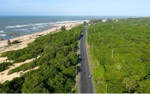 Discover the Serene Beauty of Ho Coc Beach: A Pristine Coastal Escape Near Ho Chi Minh City for Your Next Peaceful Vacation-3