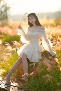Golden Hour Dream: Ethereal Beauty in White Amidst a Blooming Field-9