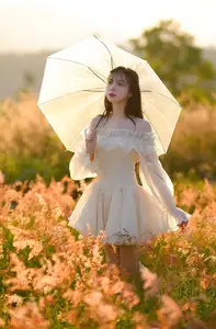 Golden Hour Dream: Ethereal Beauty in White Amidst a Blooming Field-11