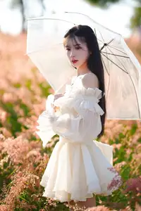 Golden Hour Dream: Ethereal Beauty in White Amidst a Blooming Field-8