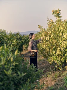 Ethereal Pastoral Beauty: Exploring YiTuYu Art Language Vol.9068 Featuring Yao Guai Na Li Tao-16
