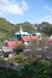 Moc Chau New Year Escape: Find Serenity in Pine Forests, a Relaxing Check-in Spot for Photo Lovers.-3