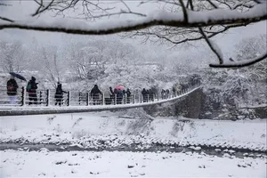 A Winter Fairy Tale: Why Shirakawa-go Is Japan's Most Magical Hidden Gem This Season-4