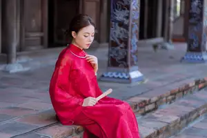 Graceful Vietnamese Traditional Ao Dai: Timeless Elegance 1000024747-2