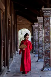 Graceful Vietnamese Traditional Ao Dai: Timeless Elegance 1000024747-16