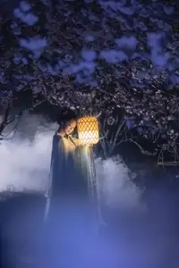 Discover the Ethereal Beauty of Qi Ni Si Mao in YiTuYu Vol.8623: An Asian Muse by Lantern Light-8