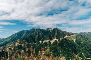 Discover Binh Lieu Stunning Reed Grass Fields Majestic Vietnam Nature View-6