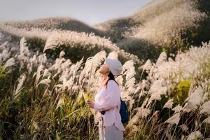 Discover Binh Lieu Stunning Reed Grass Fields Majestic Vietnam Nature View-0