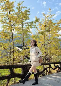 Sa Pa's Golden Ginkgo Season: A Romantic Mountain Escape for End-of-Year Check-ins-6