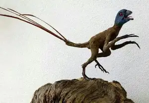 Epidexipteryx Dinosaur: Jurassic Creature with Peacock-like Feathers, Unique Teeth, and Avian Evolution Mystery-5