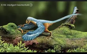 Epidexipteryx Dinosaur: Jurassic Creature with Peacock-like Feathers, Unique Teeth, and Avian Evolution Mystery-6