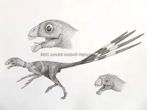 Epidexipteryx Dinosaur: Jurassic Creature with Peacock-like Feathers, Unique Teeth, and Avian Evolution Mystery-8