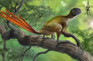 Epidexipteryx Dinosaur: Jurassic Creature with Peacock-like Feathers, Unique Teeth, and Avian Evolution Mystery-4