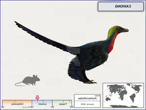 Unveiling the Most Vibrant Dinosaur: Feathered Evidence of Ancient Bird Evolution-2