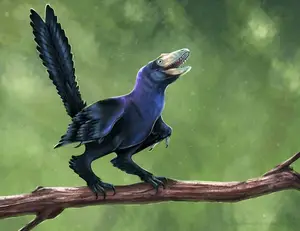 Unveiling the Most Vibrant Dinosaur: Feathered Evidence of Ancient Bird Evolution-5