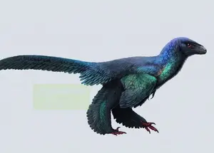 Unveiling the Most Vibrant Dinosaur: Feathered Evidence of Ancient Bird Evolution-6