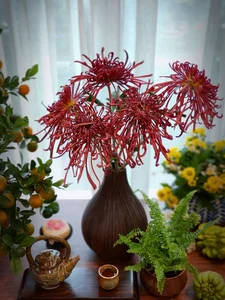 Master the Art of Ancient Chrysanthemums: Stunning Floral Tips for a Long-Lasting Lunar New Year-3