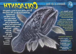 View: Uncover the Mystery of the Coelacanth – The 'Living Fossil' Animal Surviving from Ancient Times-7