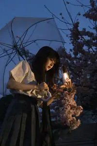 Xing Zhi Ka Tao: Dreamy Cherry Blossom Twilight with a Lantern - YiTuYu Vol.8564-2