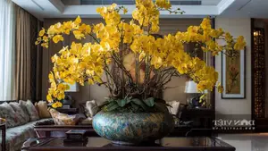 Discover the Goldfish Plant – A luxurious and unique ornamental gem bringing luck and prosperity to your home.-0