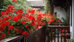 Discover the Goldfish Plant – A luxurious and unique ornamental gem bringing luck and prosperity to your home.-7